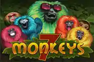 7 Monkeys JP